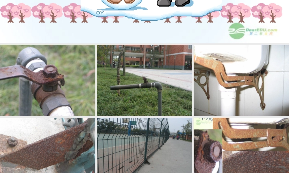 五年级科学上册 铁和锈 2课件 青岛版