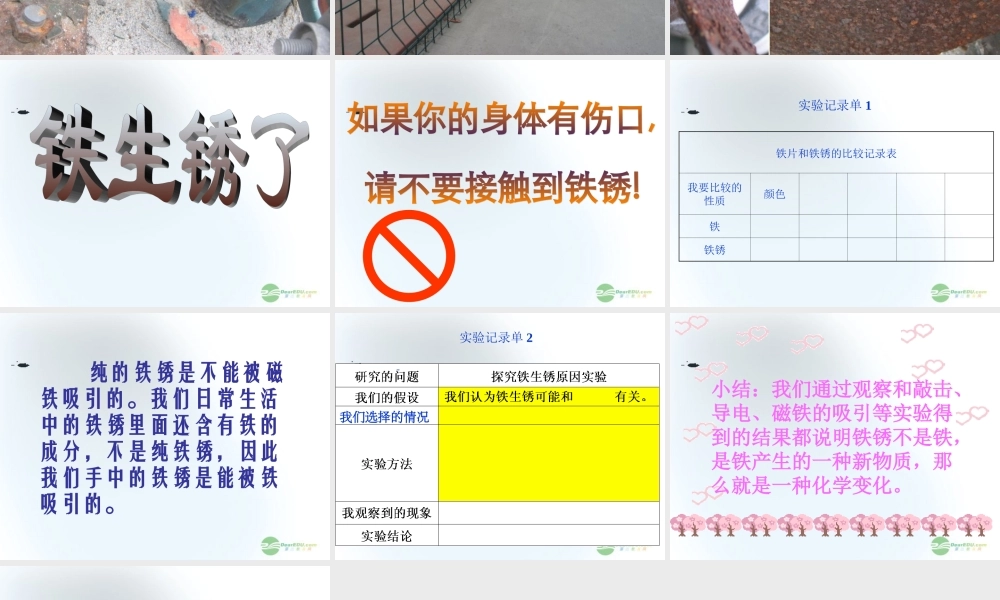 五年级科学上册 铁和锈 2课件 青岛版