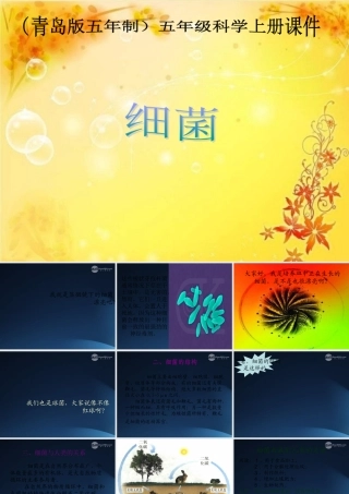 五年级科学上册 细菌 2课件 青岛版