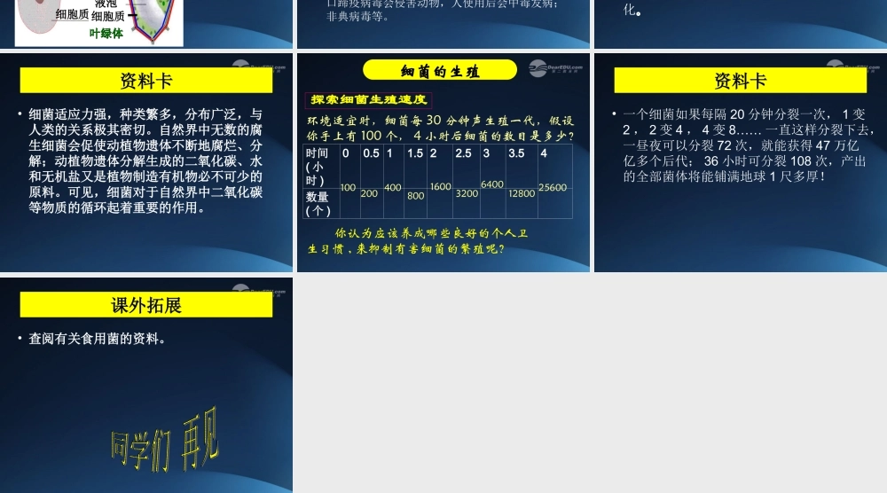 五年级科学上册 细菌 3课件 青岛版