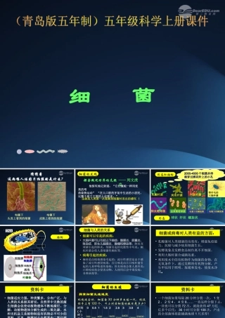 五年级科学上册 细菌 3课件 青岛版