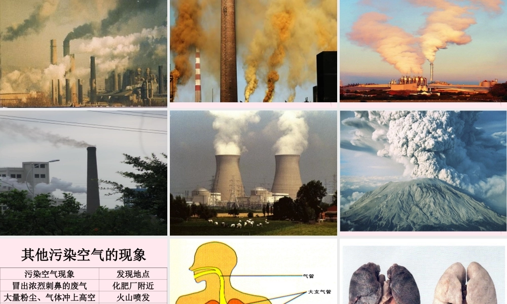 五年级科学下册 第19课《我们需要清新的空气》课件1 鄂教版-鄂教版小学五年级下册自然科学课件