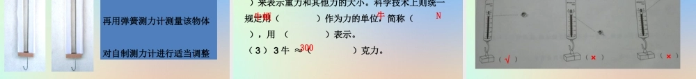 五年级科学上册 运动和力 4测量力的大小课件 教科版-教科版小学五年级上册自然科学课件