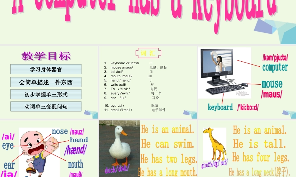 五年级英语上册 Lesson 3 A computer has a keyboard课件5 科普版-人教版小学五年级上册英语课件