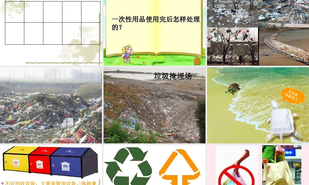 五年级科学下册 第21课《一次性的生活用品》课件2 鄂教版-鄂教版小学五年级下册自然科学课件