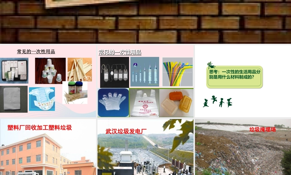 五年级科学下册 第21课《一次性的生活用品》课件3 鄂教版-鄂教版小学五年级下册自然科学课件