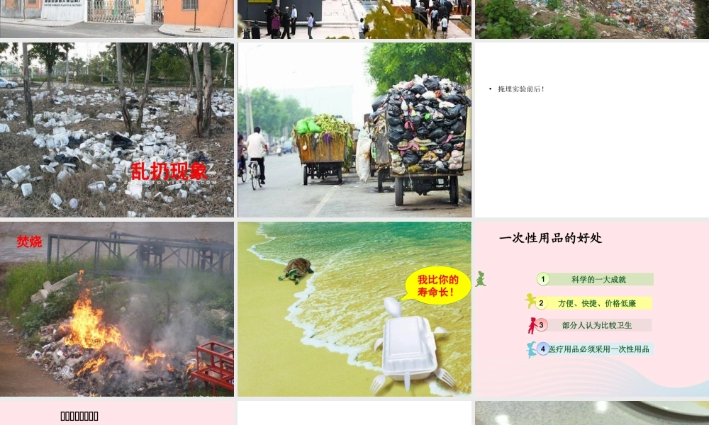 五年级科学下册 第21课《一次性的生活用品》课件3 鄂教版-鄂教版小学五年级下册自然科学课件