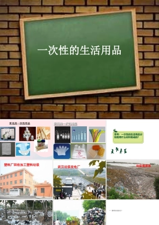 五年级科学下册 第21课《一次性的生活用品》课件3 鄂教版-鄂教版小学五年级下册自然科学课件