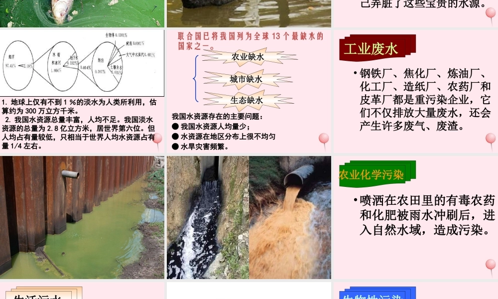 五年级科学下册 第22课《水域的污染与保护》课件 鄂教版-鄂教版小学五年级下册自然科学课件