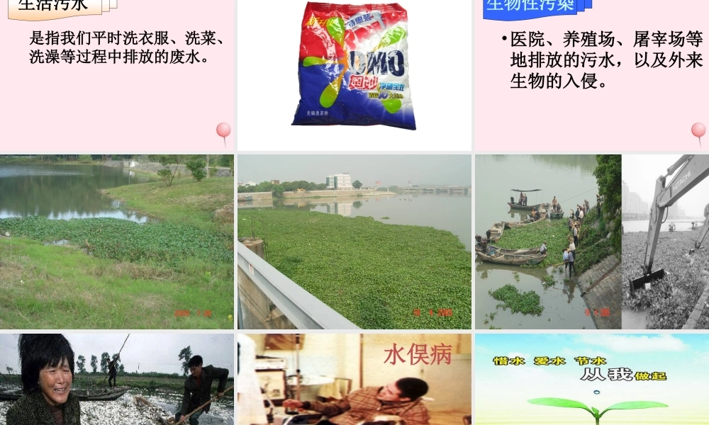 五年级科学下册 第22课《水域的污染与保护》课件 鄂教版-鄂教版小学五年级下册自然科学课件