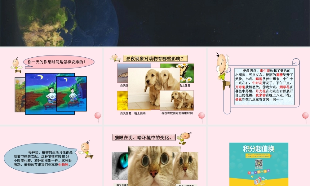 五年级科学下册 2.2《昼夜交替》课件2 湘教版-湘教版小学五年级下册自然科学课件