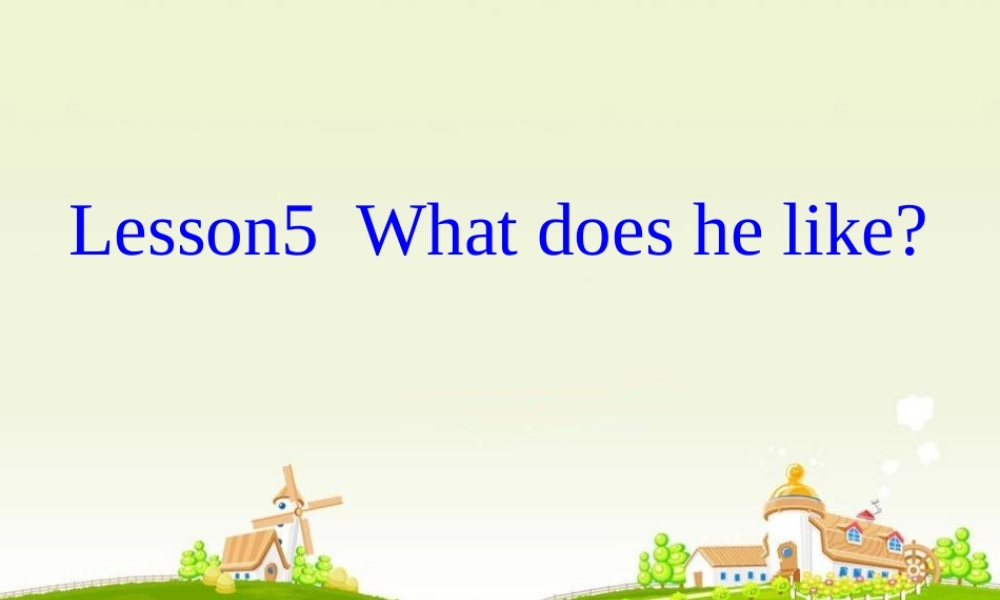 五年级英语上册 Lesson 5 What does he like课件2 科普版-人教版小学五年级上册英语课件