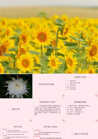 五年级科学下册 2.3《昼夜是怎样形成的》课件2 湘教版-湘教版小学五年级下册自然科学课件