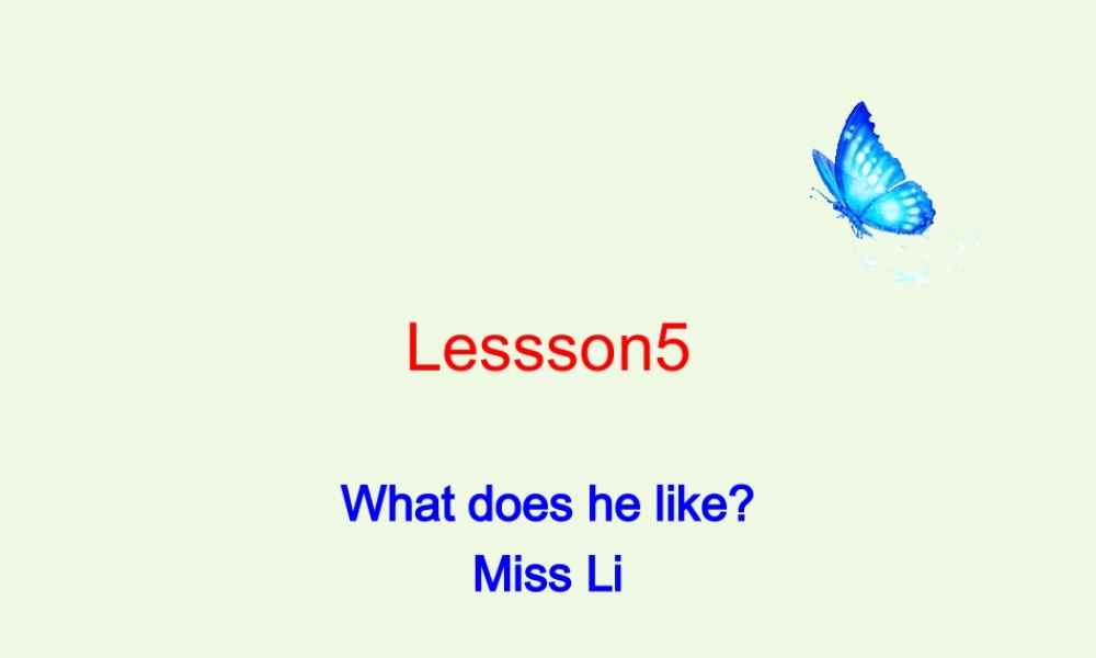 五年级英语上册 Lesson 5 What does he like课件3 科普版-人教版小学五年级上册英语课件