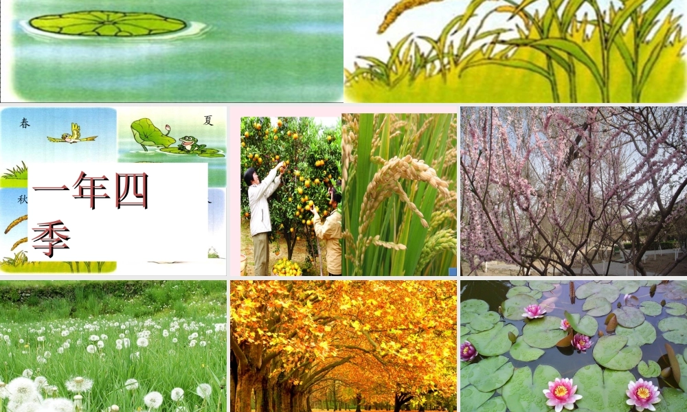 五年级科学下册 2.4《一年四季》课件2 湘教版