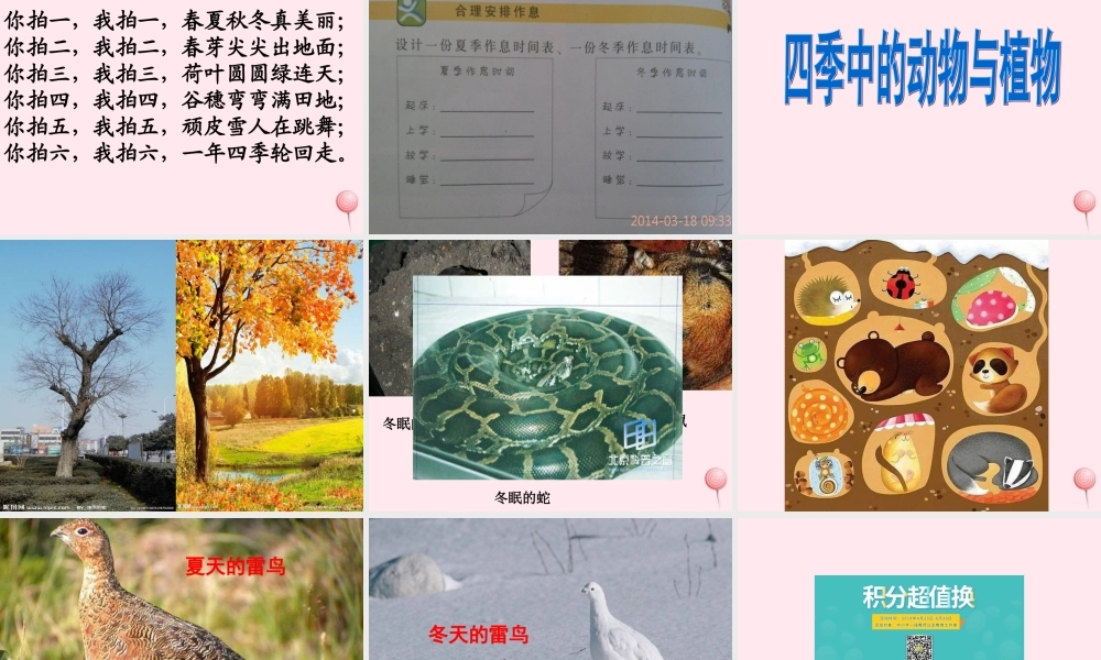 五年级科学下册 2.4《一年四季》课件2 湘教版