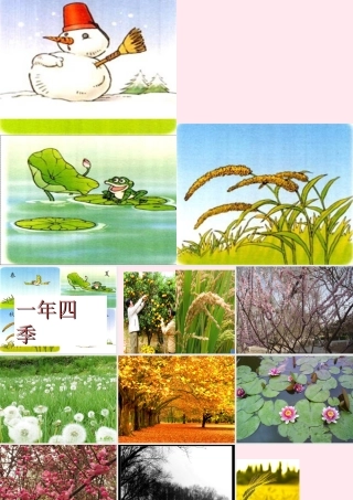 五年级科学下册 2.4《一年四季》课件2 湘教版
