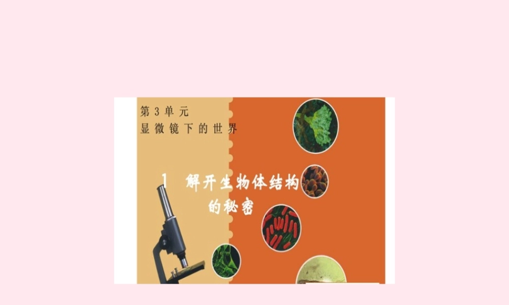 五年级科学下册 3.1《解开生物体结构的秘密》课件1 湘教版-湘教版小学五年级下册自然科学课件