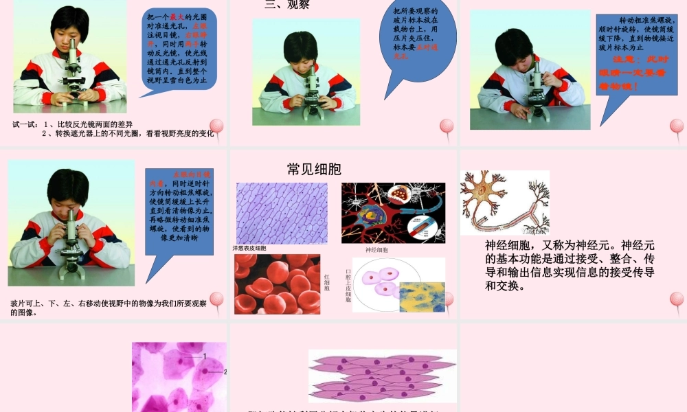 五年级科学下册 3.1《解开生物体结构的秘密》课件1 湘教版-湘教版小学五年级下册自然科学课件