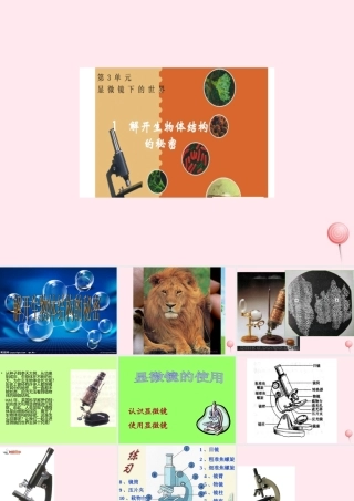 五年级科学下册 3.1《解开生物体结构的秘密》课件1 湘教版-湘教版小学五年级下册自然科学课件