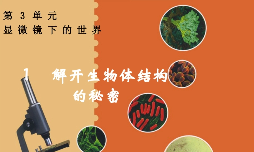 五年级科学下册 3.1《解开生物体结构的秘密》课件2 湘教版-湘教版小学五年级下册自然科学课件