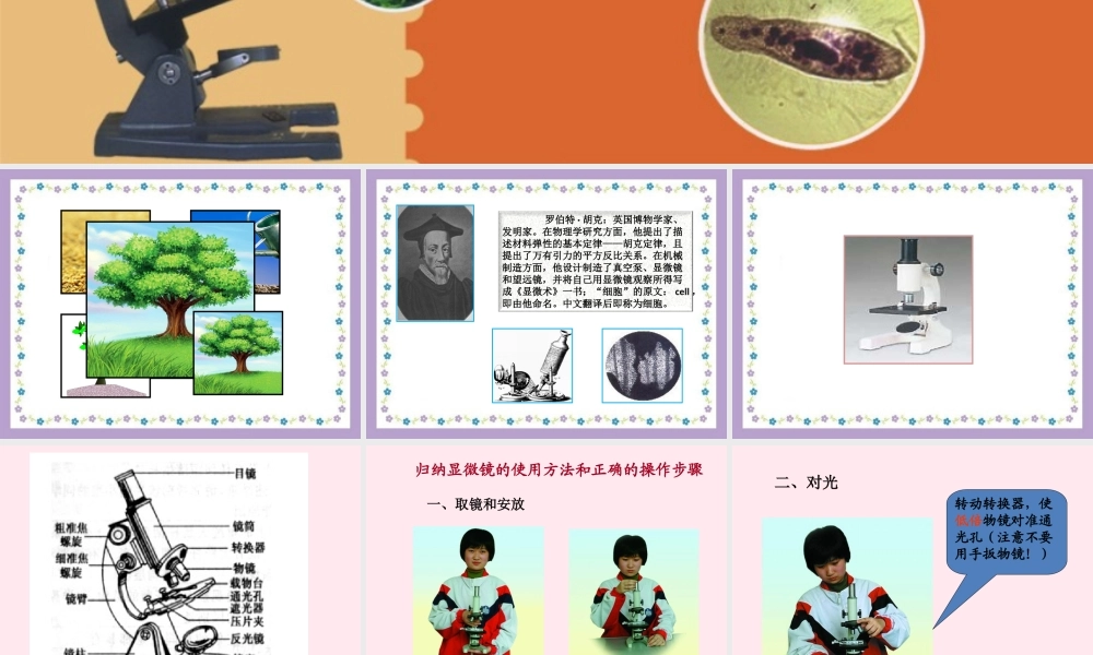 五年级科学下册 3.1《解开生物体结构的秘密》课件2 湘教版-湘教版小学五年级下册自然科学课件