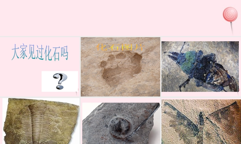 五年级科学下册 第二单元 地球和地表的变化 第9课《地表的变化》课件2 青岛版五四制-青岛版小学五年级下册自然科学课件