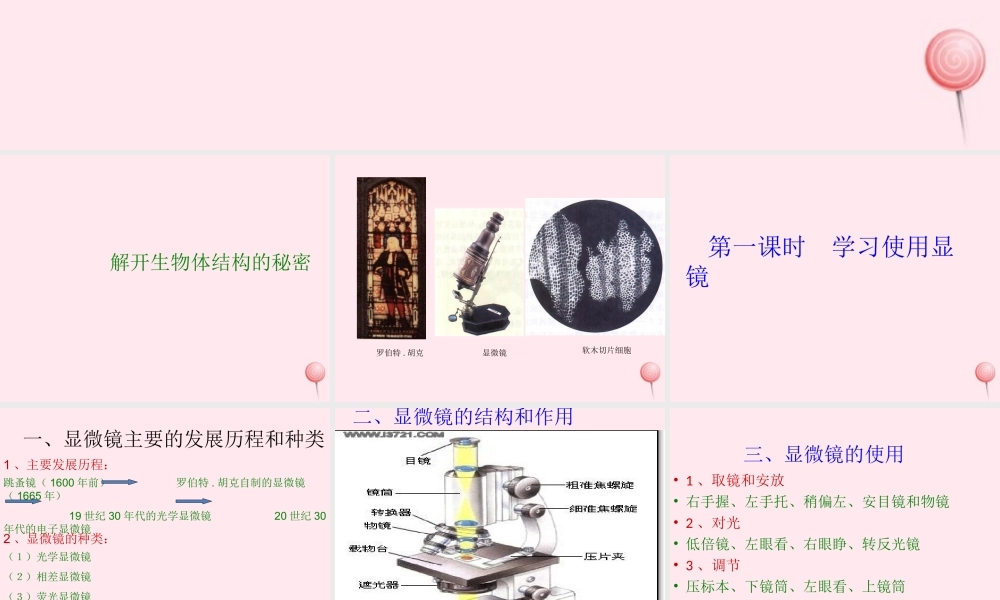 五年级科学下册 3.1《解开生物体结构的秘密》课件3 湘教版-湘教版小学五年级下册自然科学课件