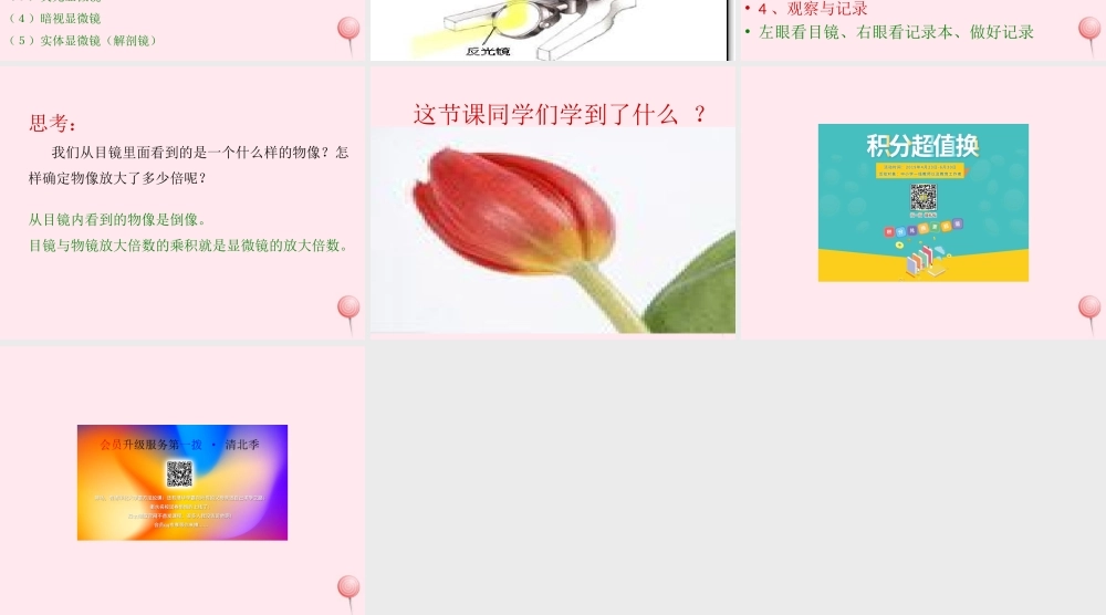 五年级科学下册 3.1《解开生物体结构的秘密》课件3 湘教版-湘教版小学五年级下册自然科学课件