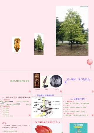 五年级科学下册 3.1《解开生物体结构的秘密》课件3 湘教版-湘教版小学五年级下册自然科学课件