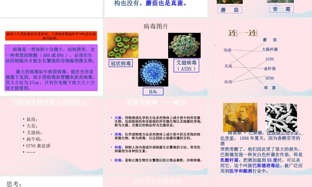 五年级科学下册 3.2《无处不在的微生物》课件1 湘教版-湘教版小学五年级下册自然科学课件
