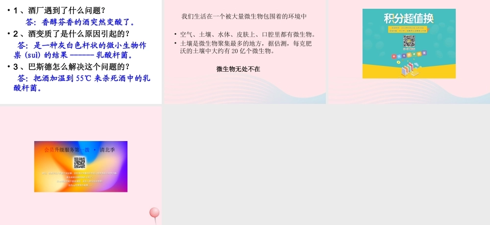 五年级科学下册 3.2《无处不在的微生物》课件1 湘教版-湘教版小学五年级下册自然科学课件