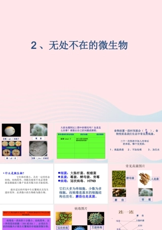 五年级科学下册 3.2《无处不在的微生物》课件1 湘教版-湘教版小学五年级下册自然科学课件