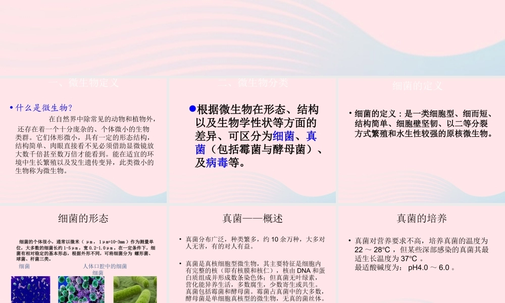 五年级科学下册 3.2《无处不在的微生物》课件2 湘教版-湘教版小学五年级下册自然科学课件