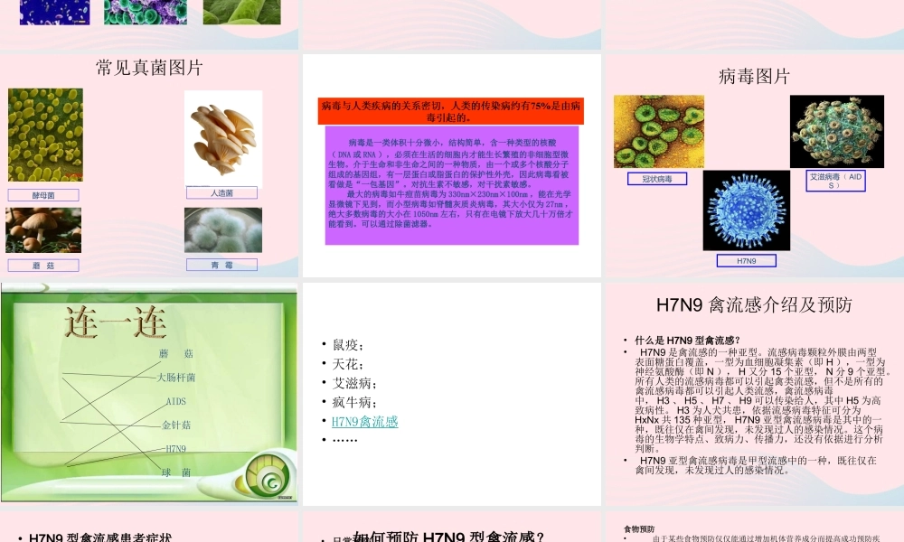 五年级科学下册 3.2《无处不在的微生物》课件2 湘教版-湘教版小学五年级下册自然科学课件