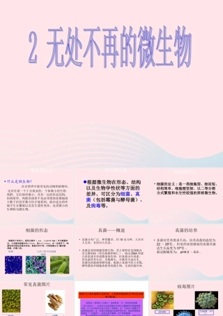 五年级科学下册 3.2《无处不在的微生物》课件2 湘教版-湘教版小学五年级下册自然科学课件