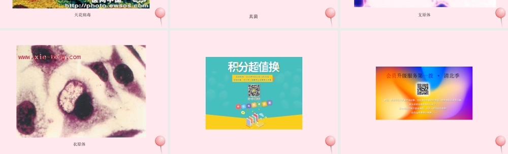 五年级科学下册 3.2《无处不在的微生物》课件3 湘教版-湘教版小学五年级下册自然科学课件