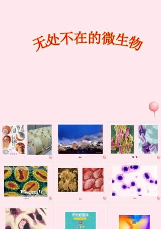 五年级科学下册 3.2《无处不在的微生物》课件3 湘教版-湘教版小学五年级下册自然科学课件
