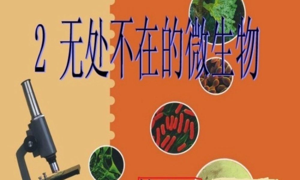 五年级科学下册 3.2《无处不在的微生物》课件4 湘教版-湘教版小学五年级下册自然科学课件