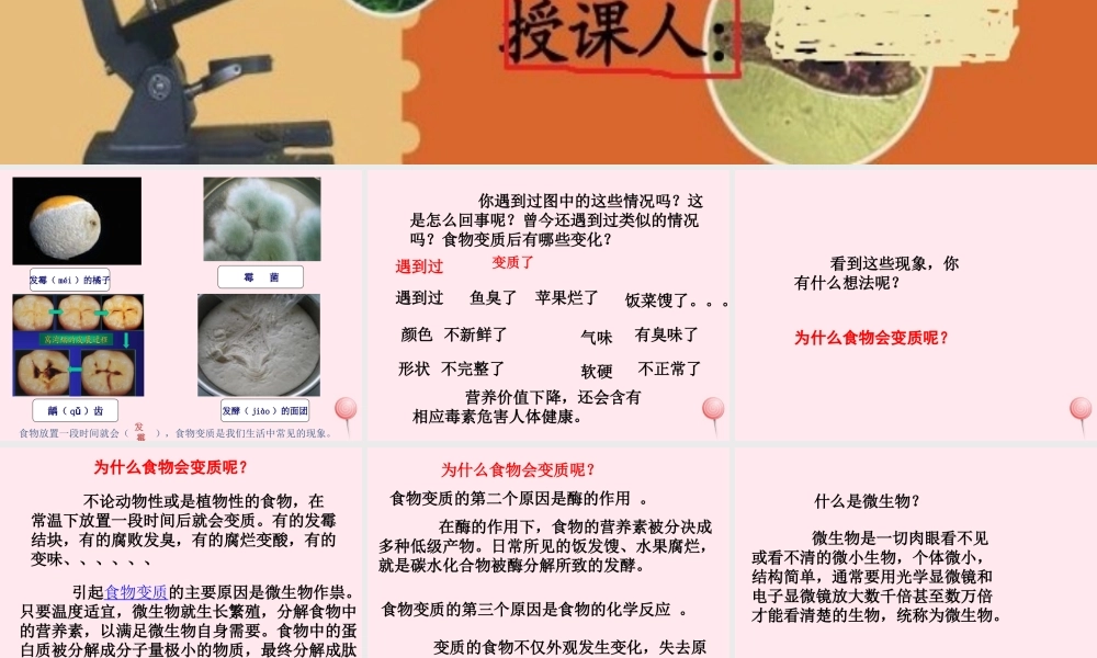 五年级科学下册 3.2《无处不在的微生物》课件4 湘教版-湘教版小学五年级下册自然科学课件