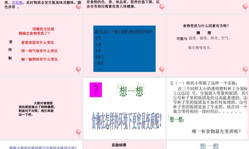 五年级科学下册 3.2《无处不在的微生物》课件4 湘教版-湘教版小学五年级下册自然科学课件