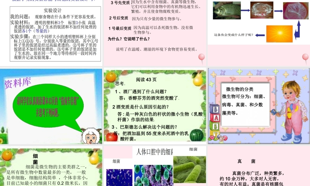 五年级科学下册 3.2《无处不在的微生物》课件4 湘教版-湘教版小学五年级下册自然科学课件