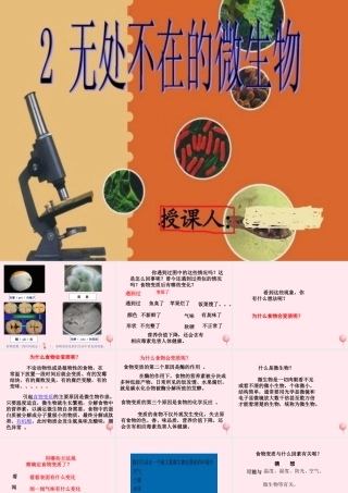 五年级科学下册 3.2《无处不在的微生物》课件4 湘教版-湘教版小学五年级下册自然科学课件