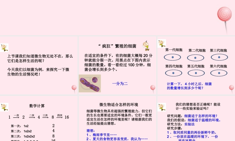 五年级科学下册 3.3《微生物怎样生活》课件 湘教版-湘教版小学五年级下册自然科学课件