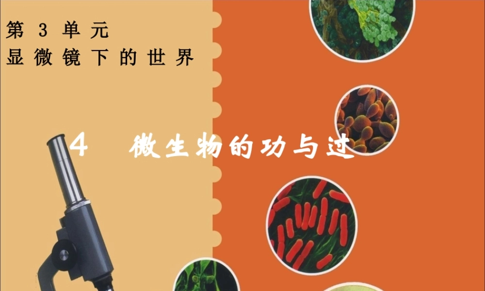 五年级科学下册 3.4《微生物的功与过》课件2 湘教版