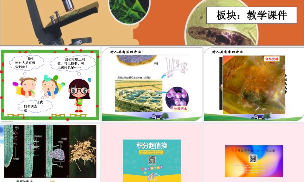 五年级科学下册 3.4《微生物的功与过》课件2 湘教版