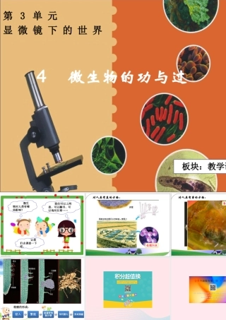 五年级科学下册 3.4《微生物的功与过》课件2 湘教版