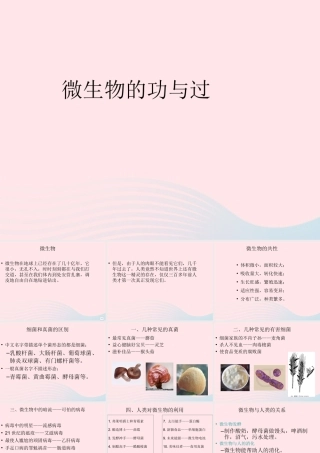 五年级科学下册 3.4《微生物的功与过》课件3 湘教版-湘教版小学五年级下册自然科学课件