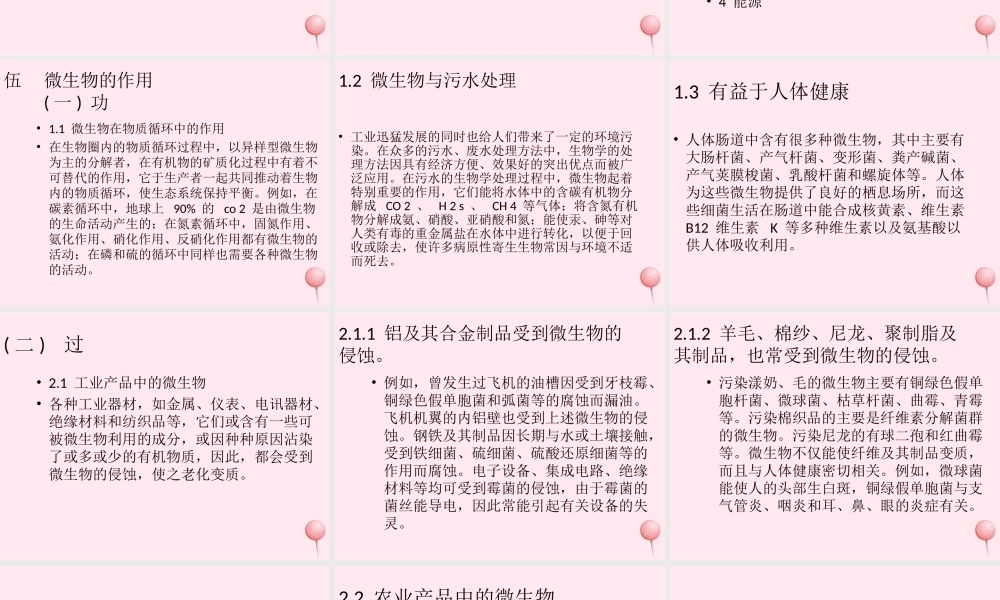 五年级科学下册 3.4《微生物的功与过》课件4 湘教版-湘教版小学五年级下册自然科学课件