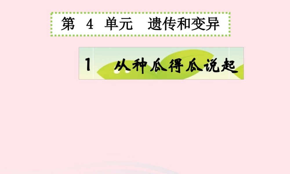 五年级科学下册 4.1《从种瓜得瓜说起》课件1 湘教版-湘教版小学五年级下册自然科学课件